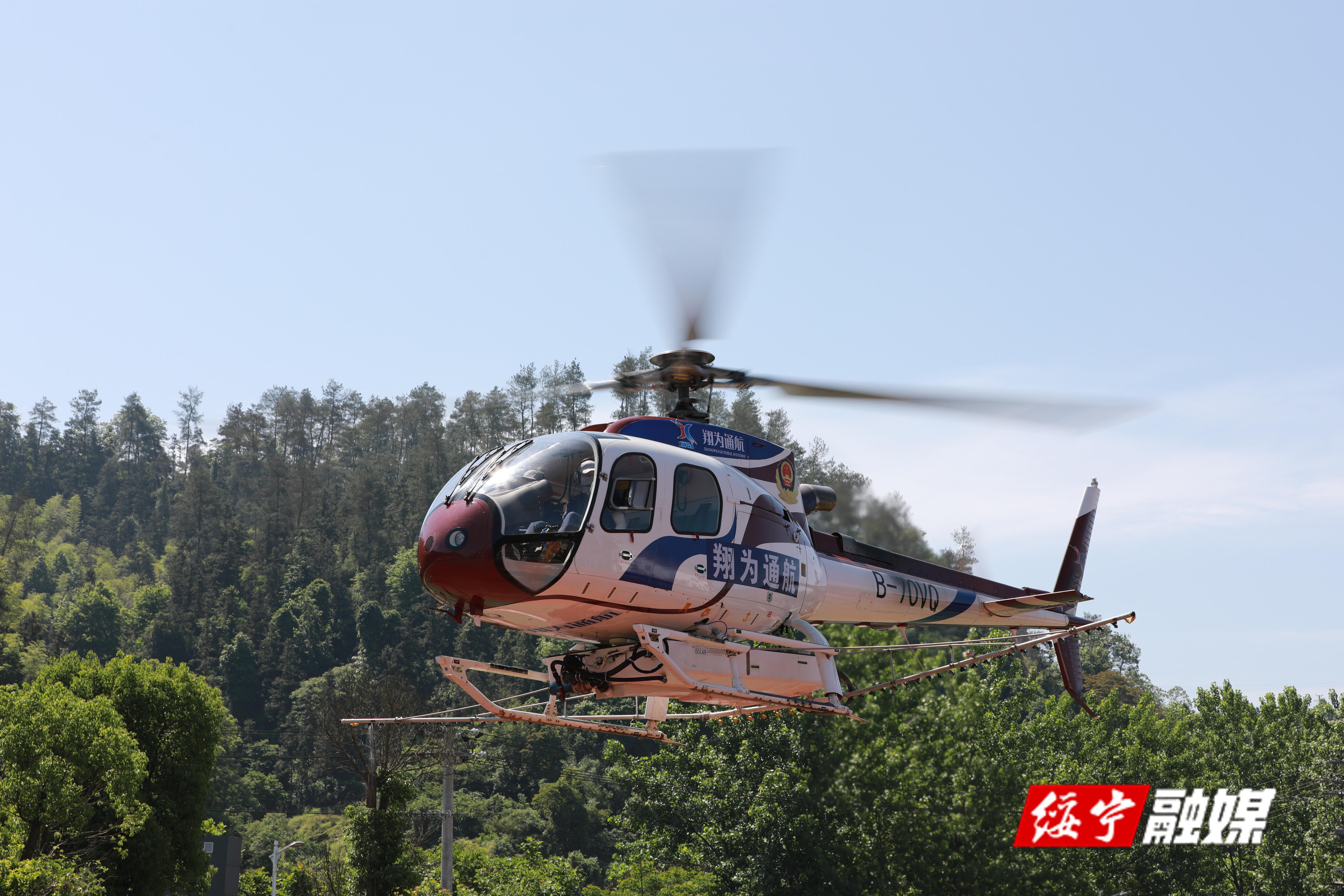绥宁县高效防治6万亩松林毛虫(图1)