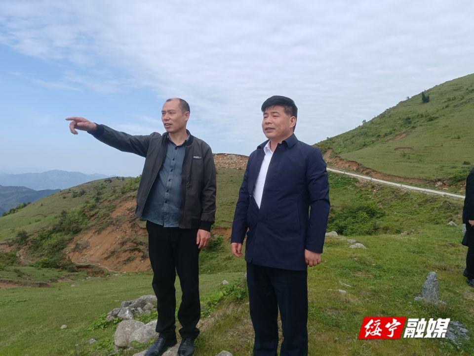 佘芝云在水口乡调研时强调：要用心用情用力做“活”竹文章 助力乡村振兴 奋力谱写新时代“山乡巨变”(图2)