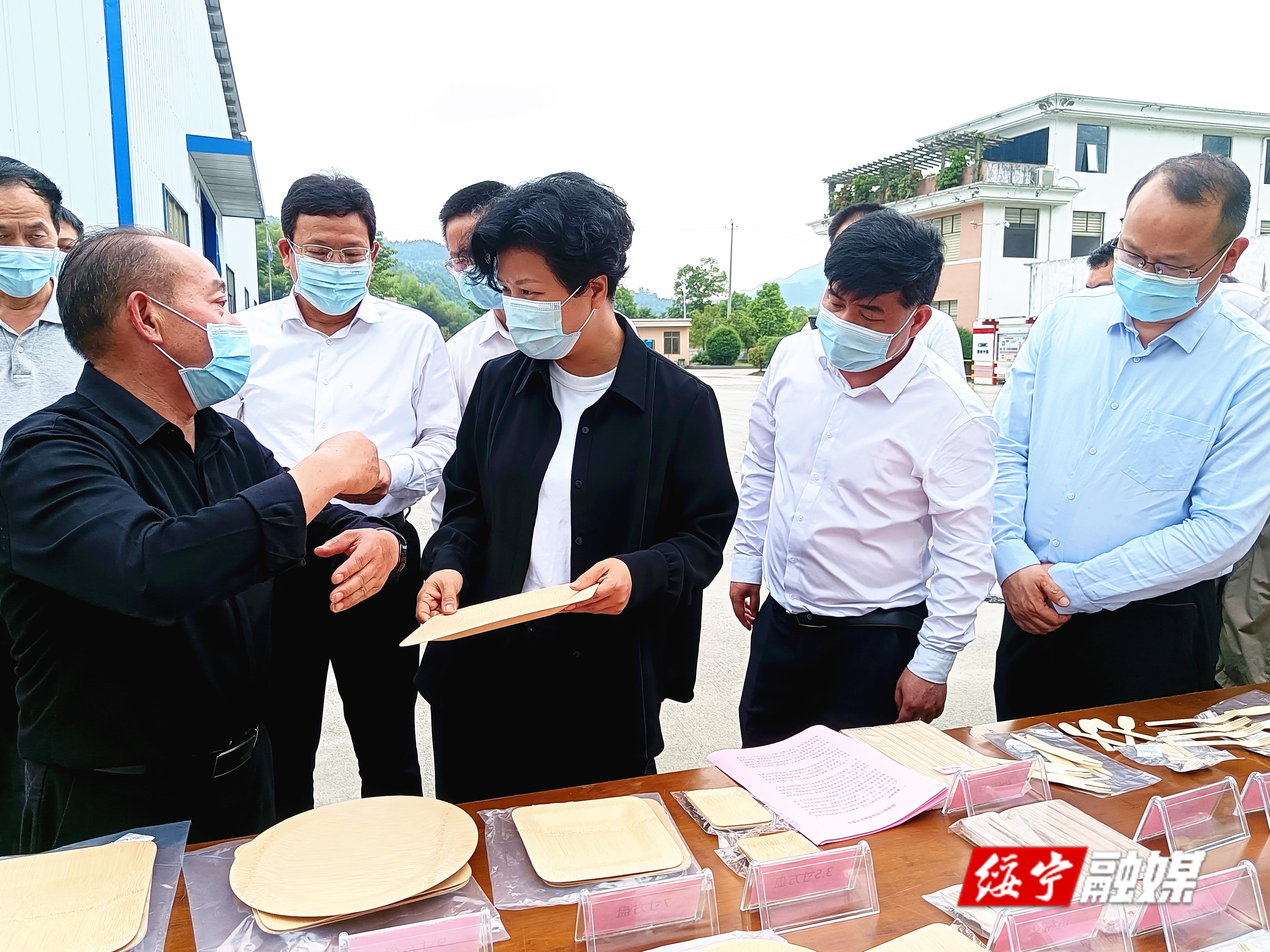 张迎春在绥宁调研时强调：更新理念优化布局 抢抓机遇激发动力(图1)