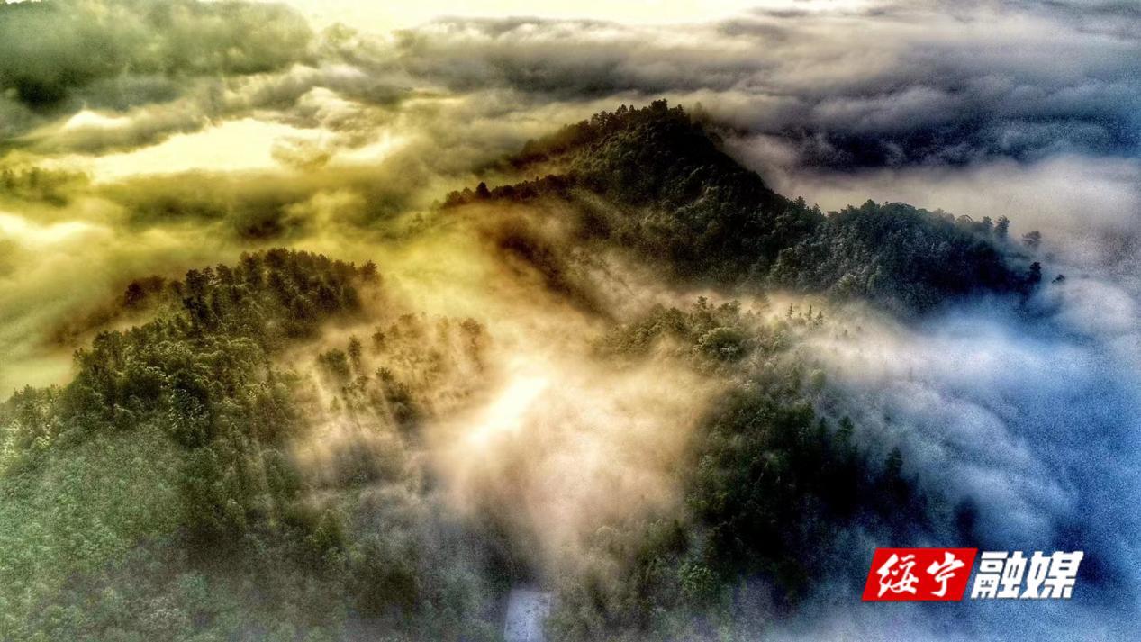 绥宁打通双节经济，凸显发展新格局(图1)