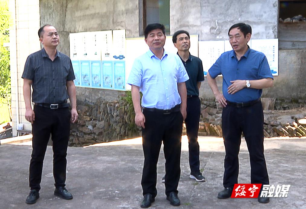 佘芝云深入寨市乡上翁村调研督导乡村振兴工作(图1)