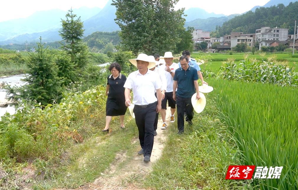 佘芝云深入乡镇开展巡河并调研产业项目建设(图1)