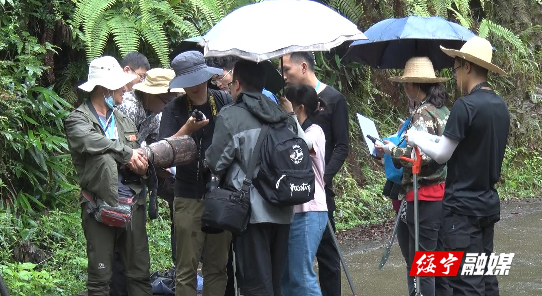 绥宁县召开生物多样性全面外业调查工作启动暨技术培训会(图1)
