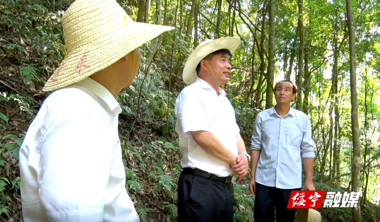 佘芝云深入河口乡调研文化旅游产业发展工作(图1)