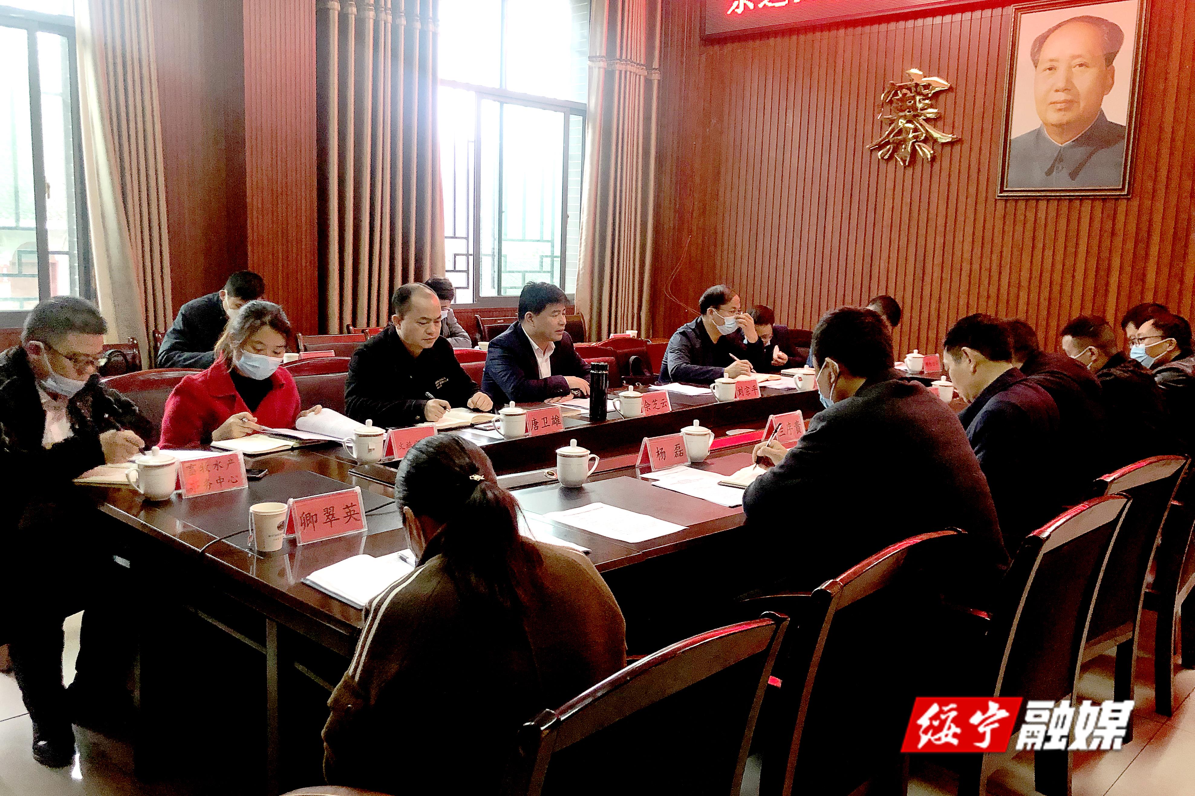 佘芝云深入寨市乡调研督导乡村振兴、粮食安全工作(图1)