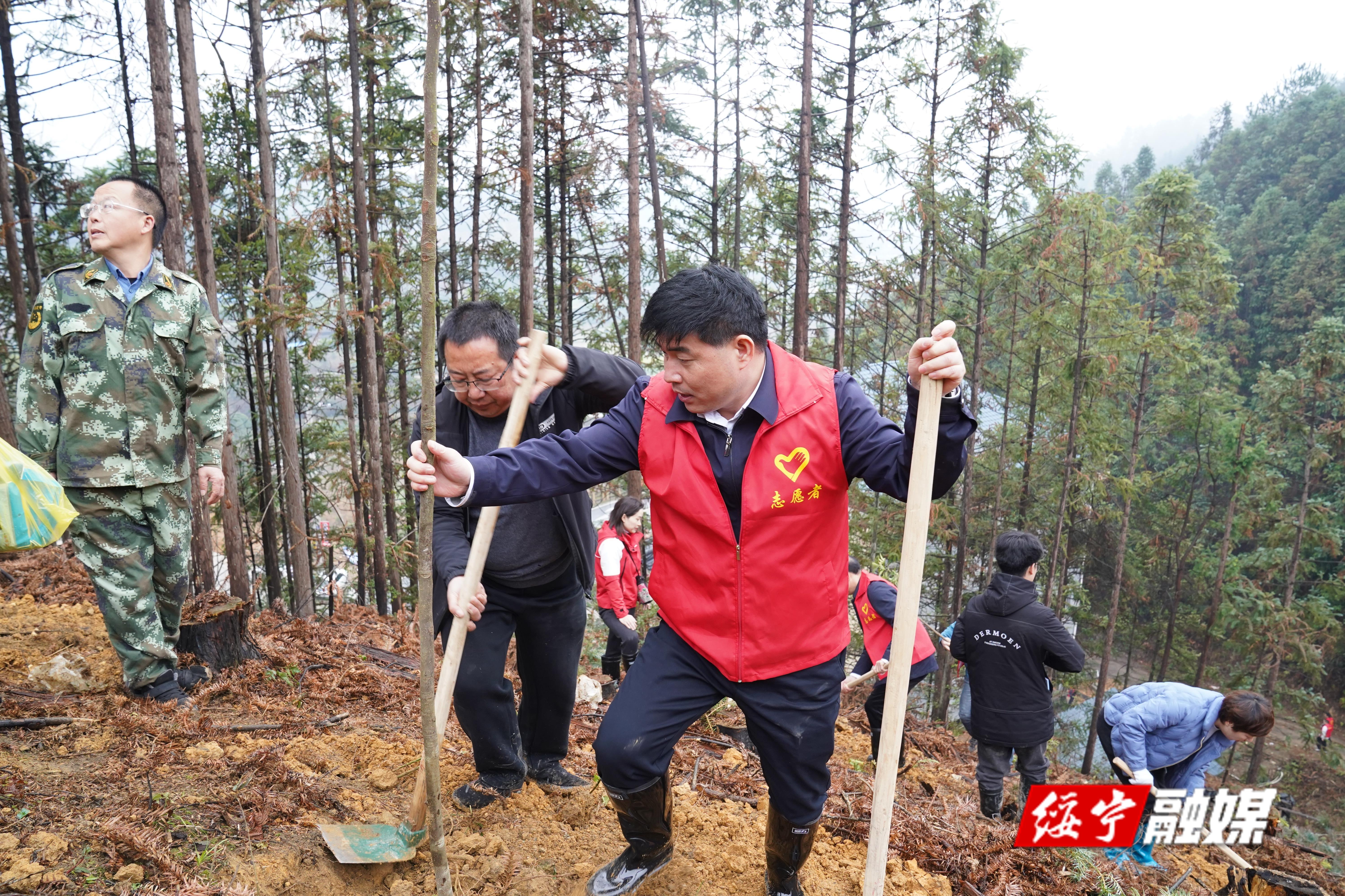 绥宁县开展全民义务植树活动(图1)