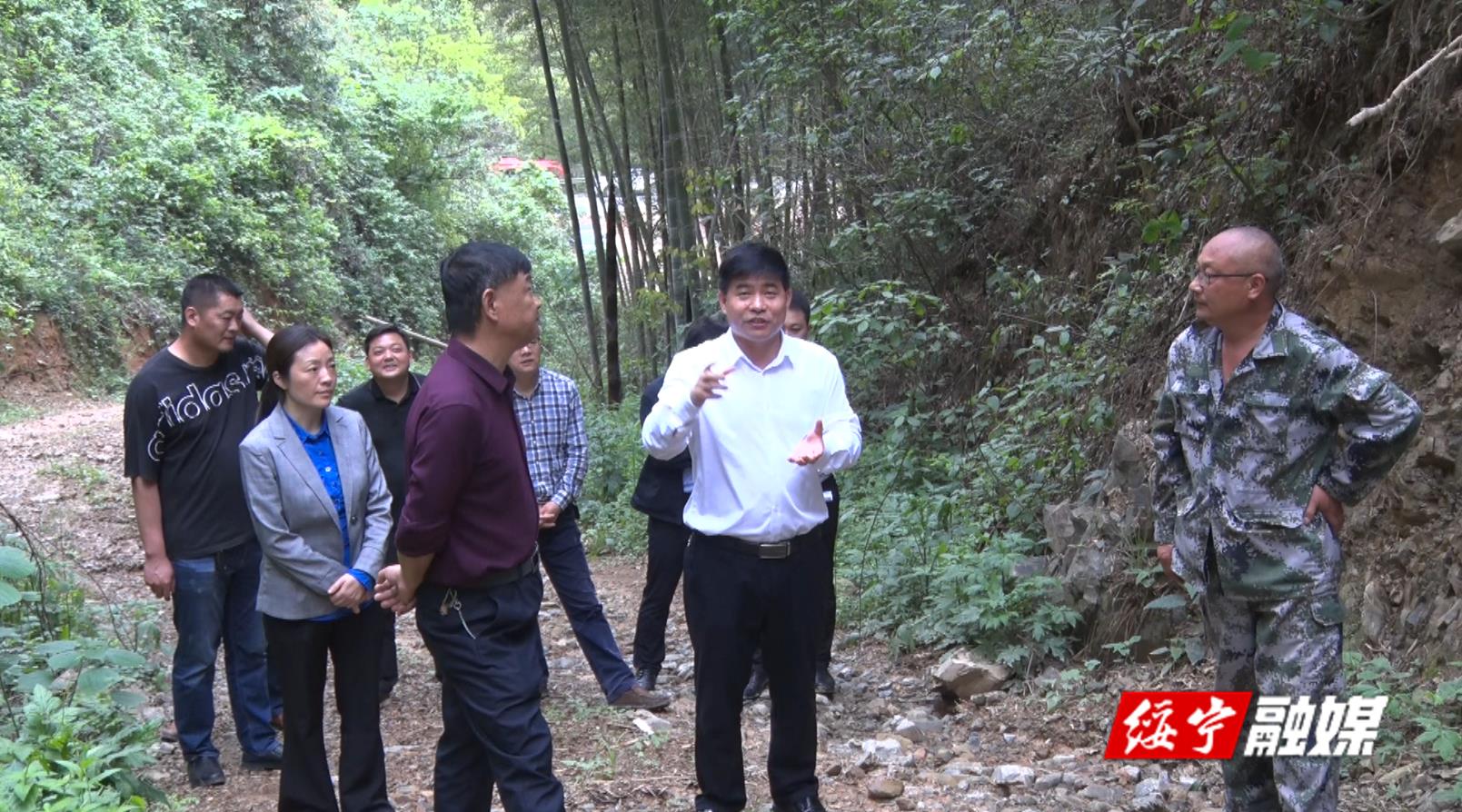 佘芝云深入乡镇调研“三巡”和 “三农”工作(图1)
