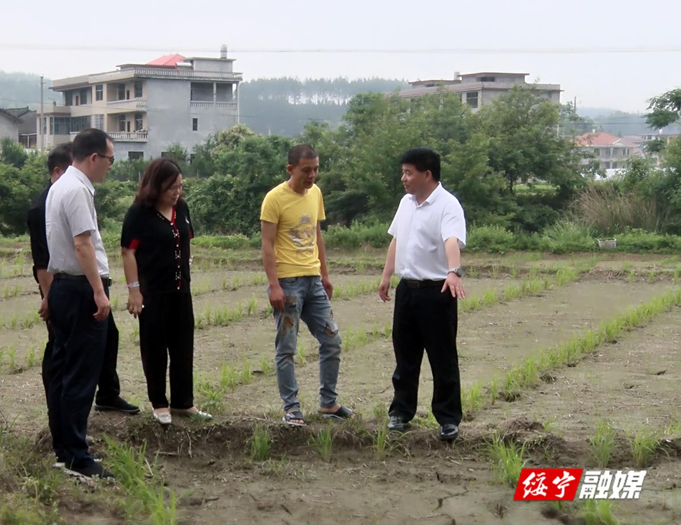 佘芝云调研督导乡村振兴和抗旱工作(图1)