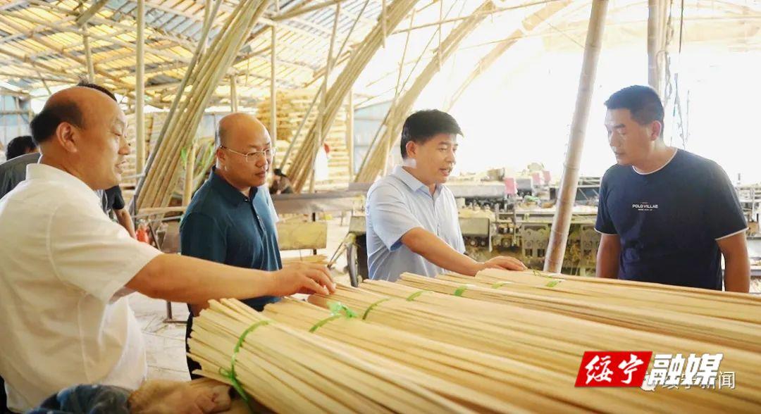 佘芝云深入乡镇调研组织工作和楠竹产业发展情况(图1)