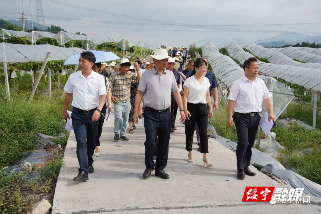 绥宁县召开2023年巩固脱贫攻坚成果同乡村振兴有效衔接工作现场观摩暨业务培训会(图2)