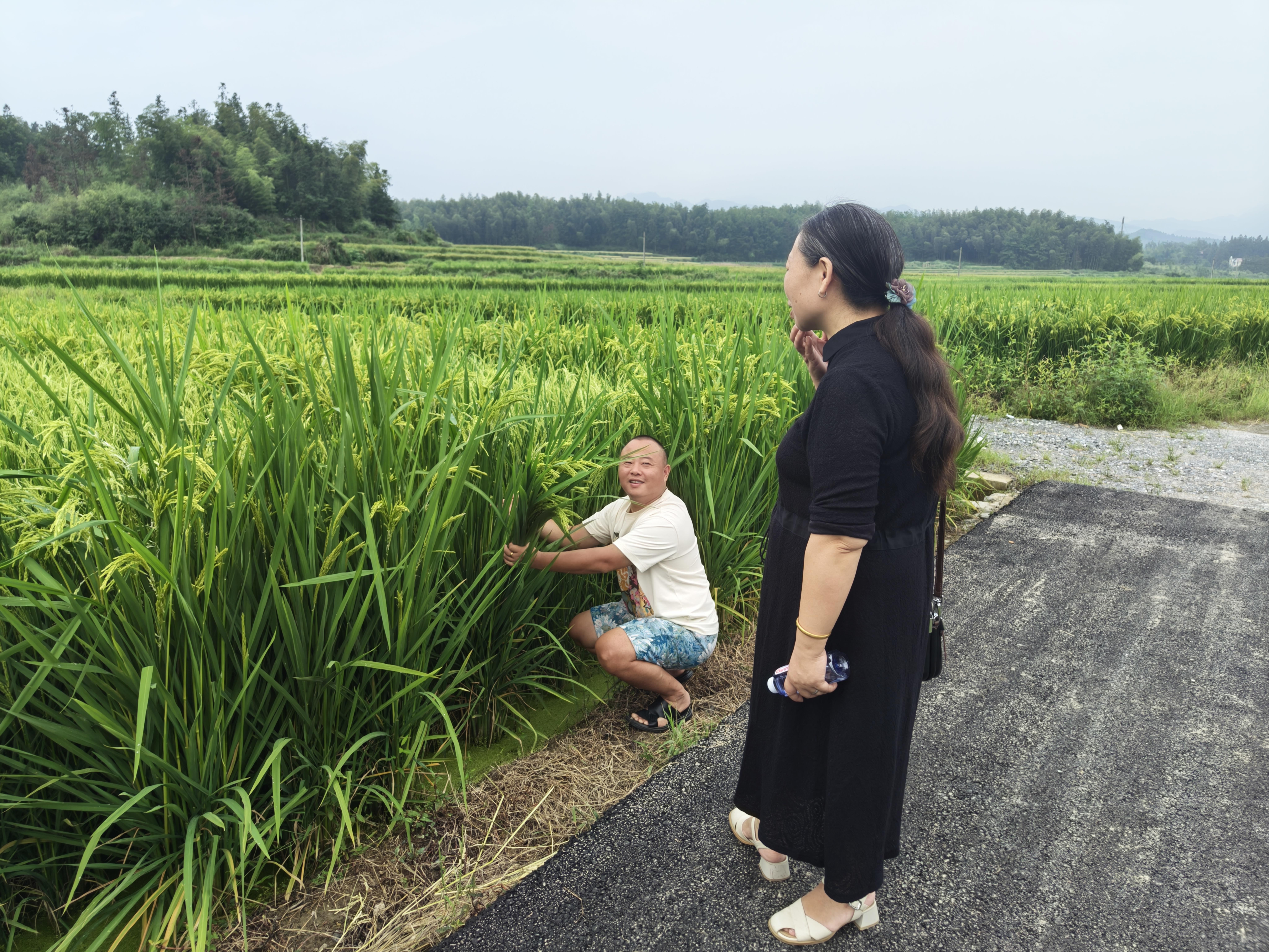全市杂交水稻制种产业发展暨种业市场监管工作培训会在绥宁召开(图2)