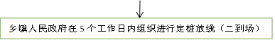 乡镇人民政府在5个工作日内组织进行定桩放线（二到场）