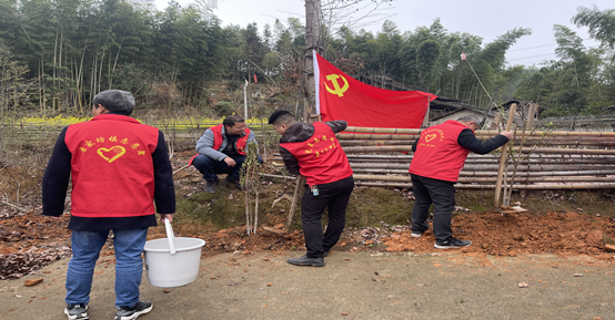 开展义务植树活动 助力生态文明建设(图2)