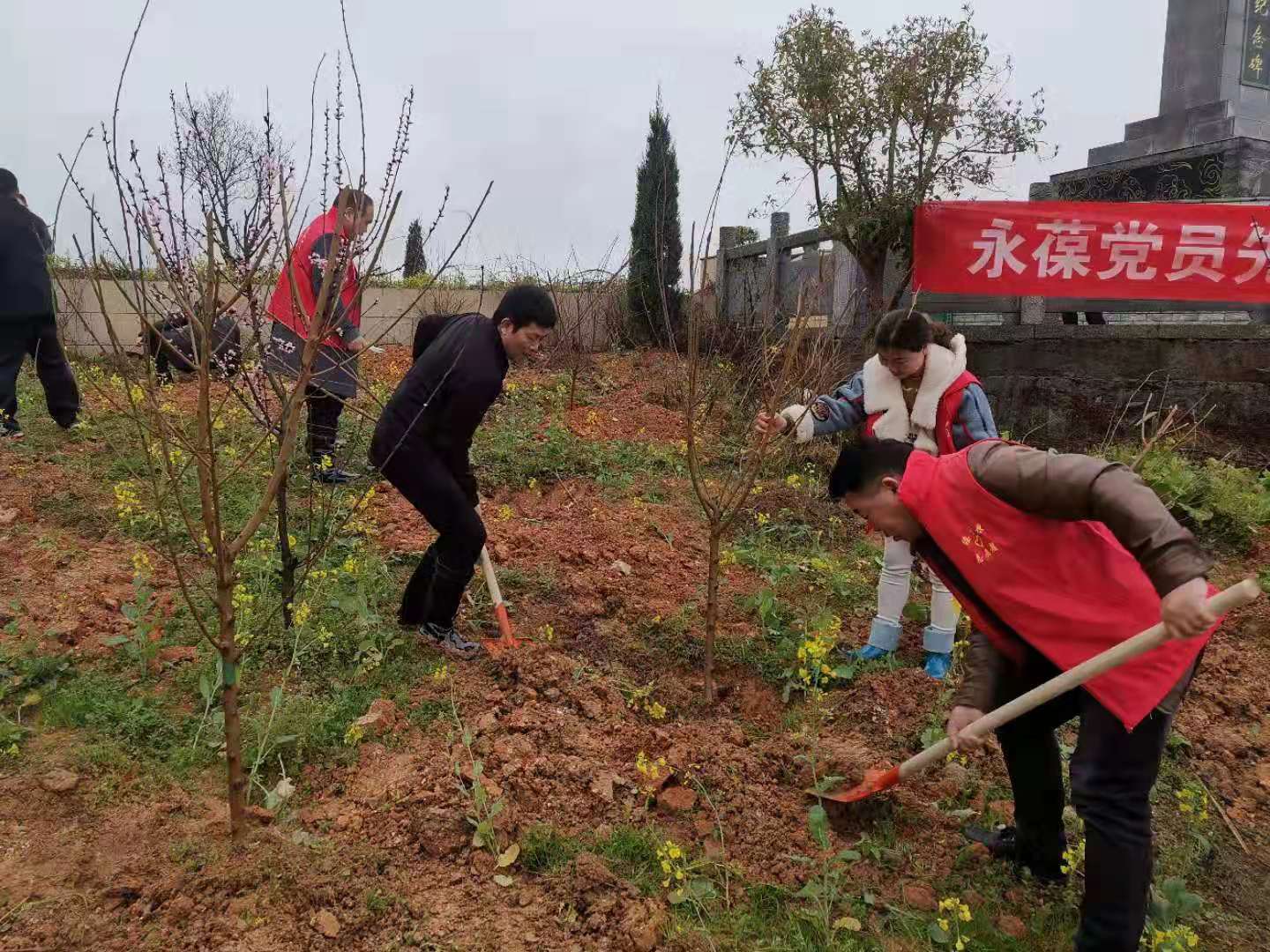 绥宁县退役军人事务局积极开展义务植树活动(图1)