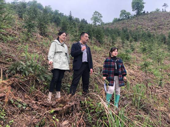 三区人才和科技特派员到绥宁县中药材基地、贫困村和企业开展科技服务(图2)
