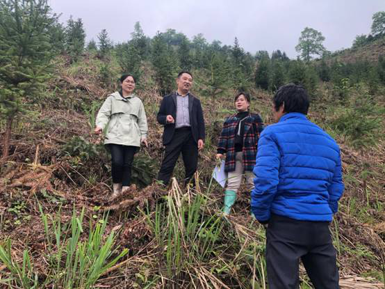 三区人才和科技特派员到绥宁县中药材基地、贫困村和企业开展科技服务(图3)