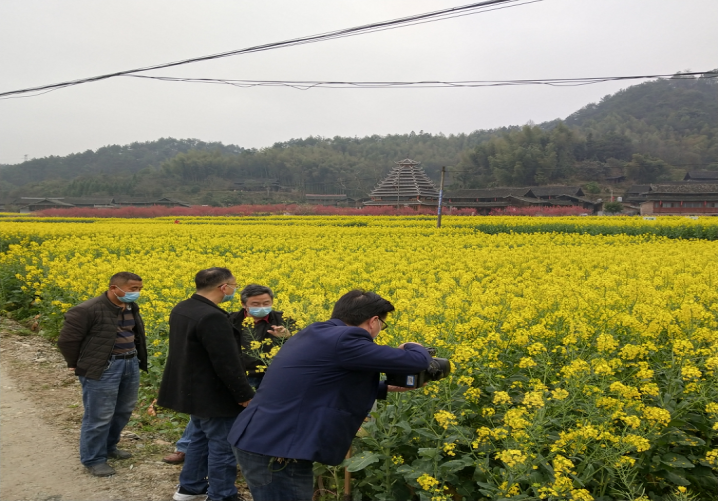 农技专家深入田间地头指导油菜蔬菜生产(图1)