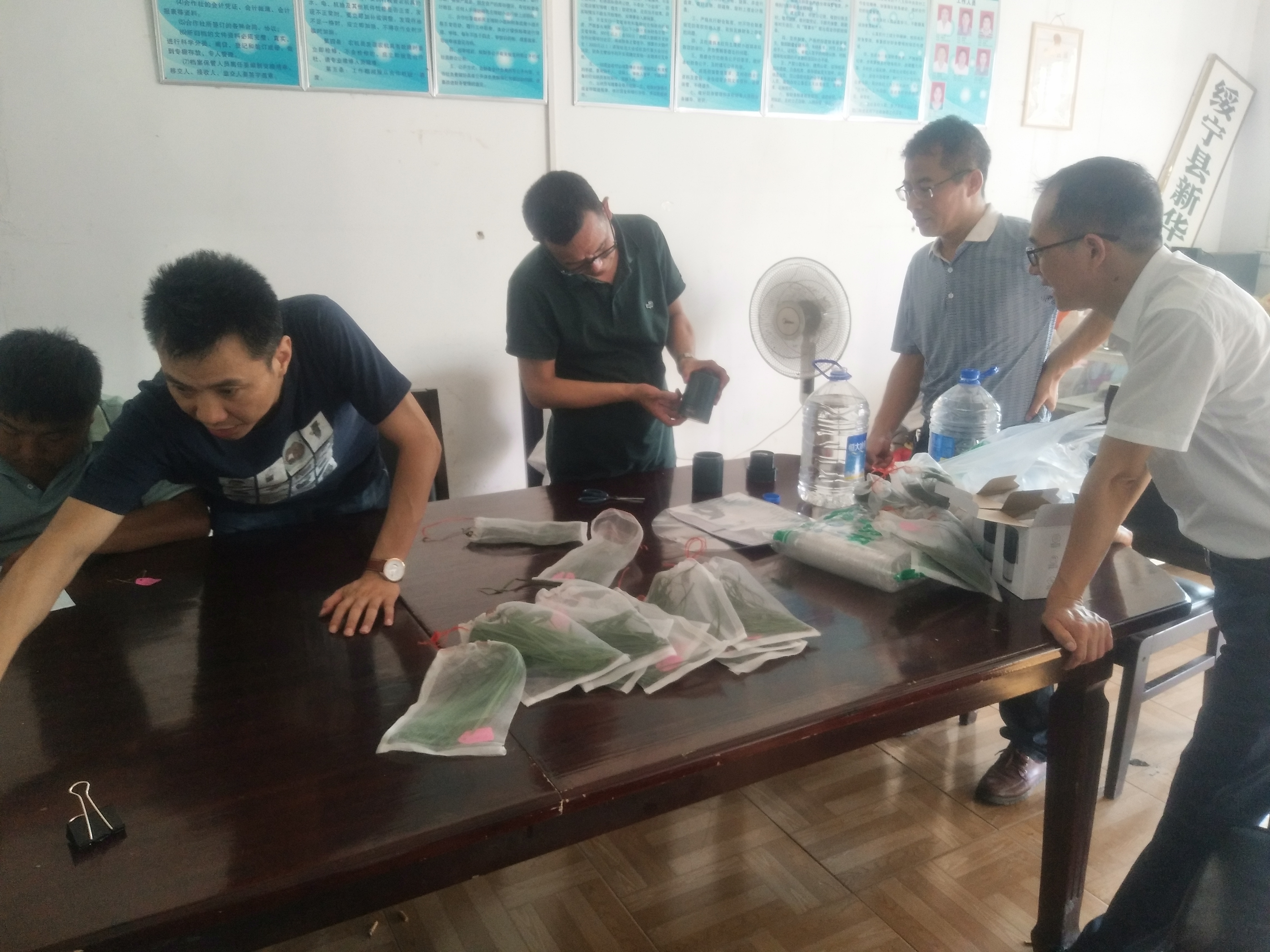 湖南省农业农村厅对绥宁县杂交水稻制种基地进行专项巡查(图1)