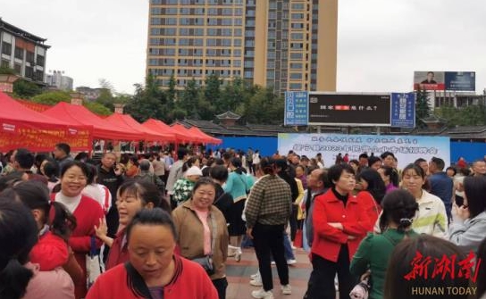 ​绥宁县举办2023年民营企业专场招聘会(图1)