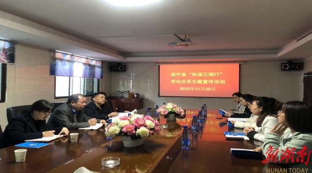 绥宁县人社局开展“和谐三湘行”劳动关系主题宣传进企业活动(图1)