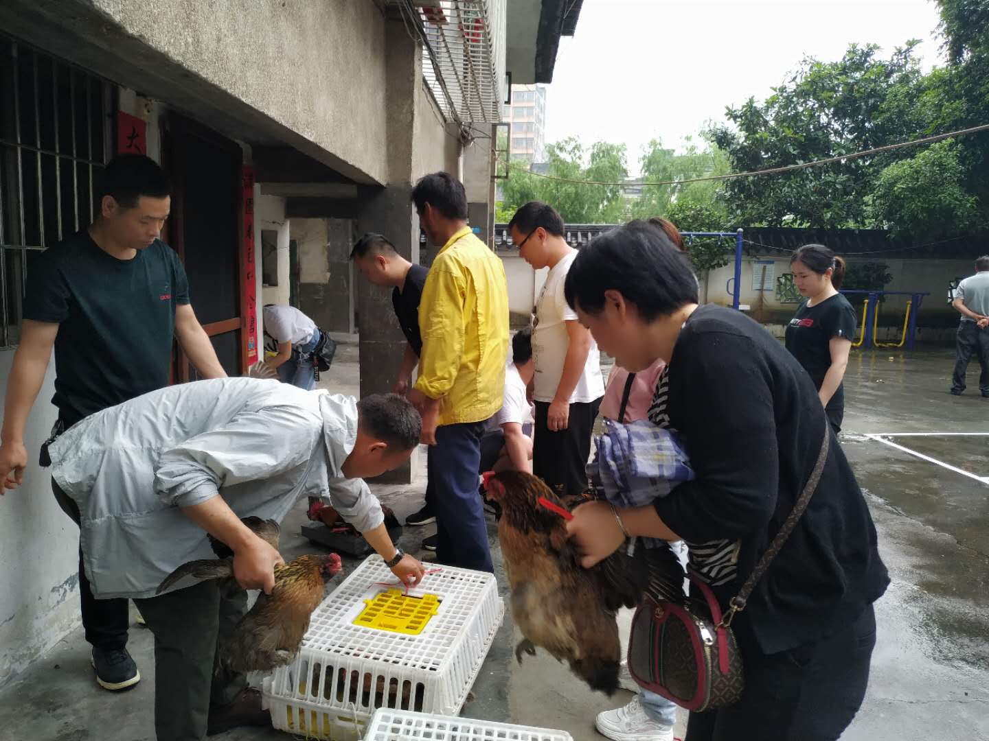 绥宁县市场监督管理局爱心购鸡鸭助脱贫(图2)
