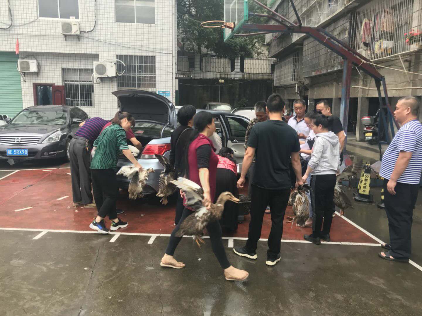 绥宁县市场监督管理局爱心购鸡鸭助脱贫(图1)