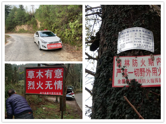 绥宁：冬季森林防火宣传总动员(图2)