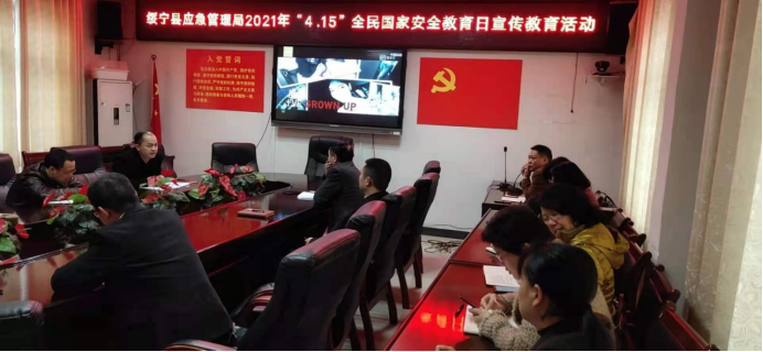 绥宁县应急管理局开展“4.15”全民国家安全教育日活动(图1)