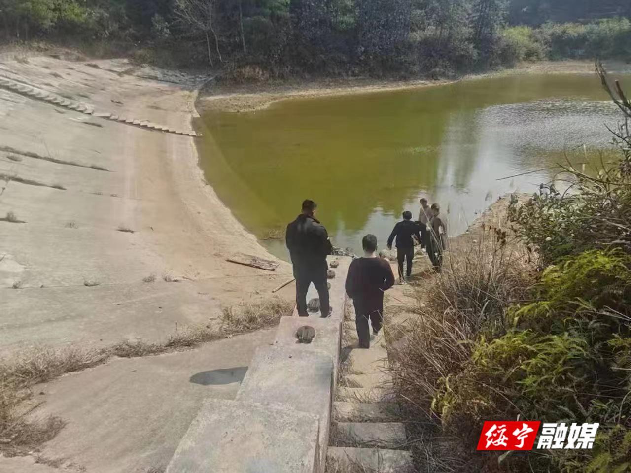 绥宁：专技人才赴一线 对症施治保安澜(图1)