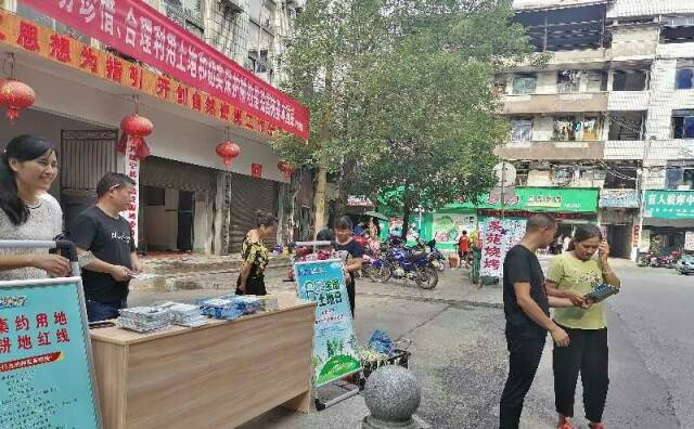 绥宁县自然资源局开展全国土地日宣传活动(图1)