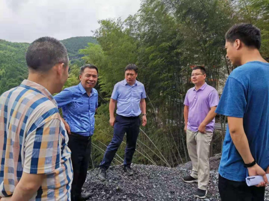 省厅来绥宁县进行绿色矿山督导(图3)