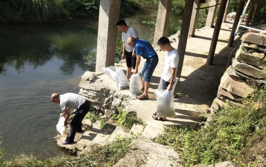 加强河道生态文明建设，守护一方绿水(图1)
